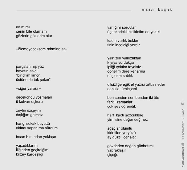 Sayfa evir